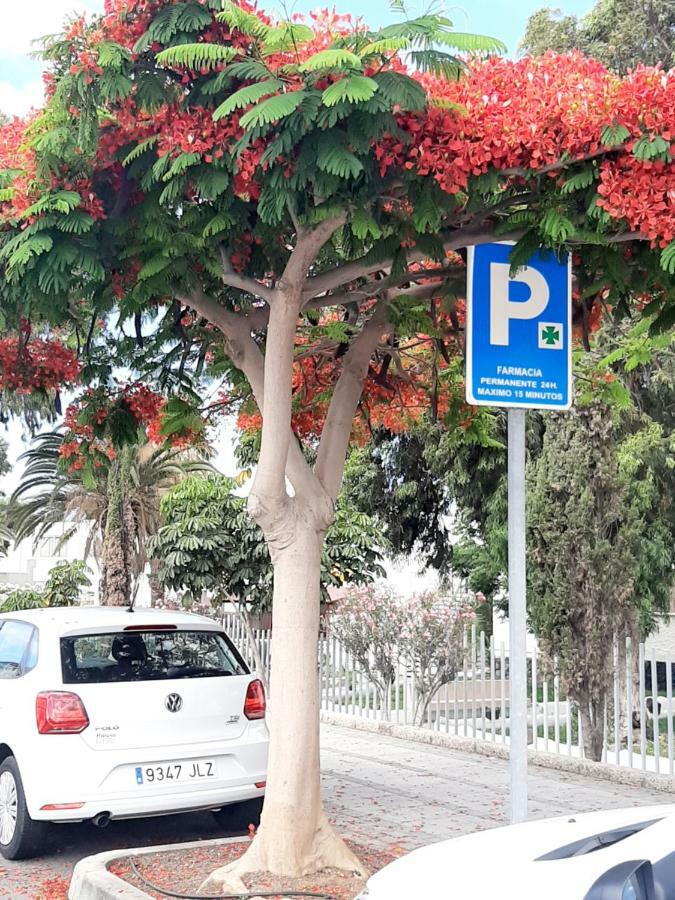Dias Magicos En Apartament